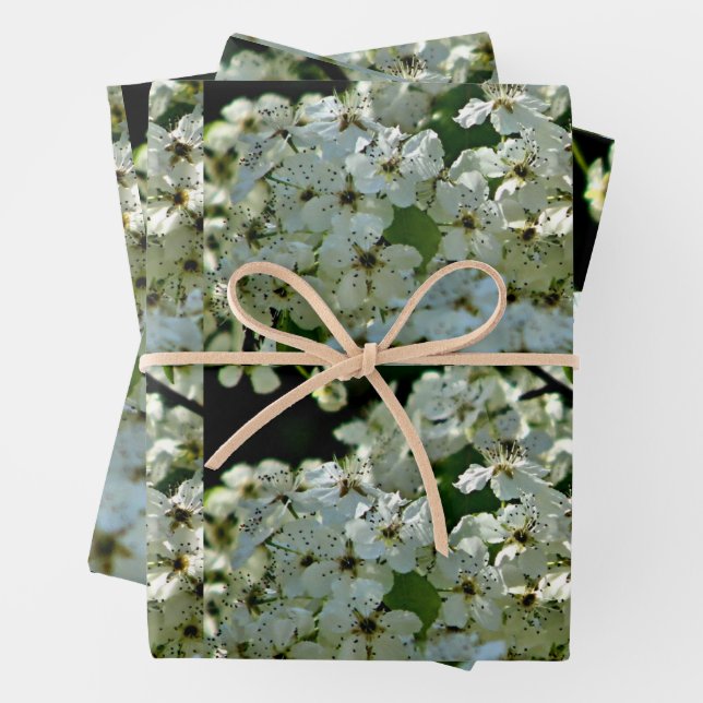 Birnenblüten in Blüte Geschenkpapier Set (Beispiel)