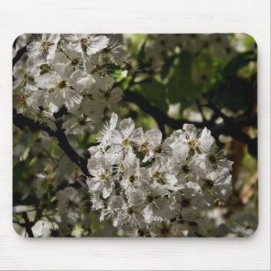 Birnenblüten Mousepad