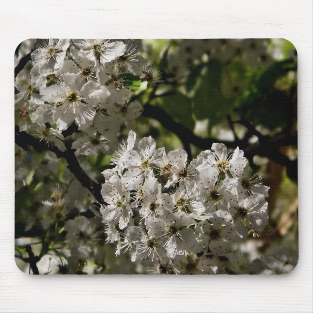 Birnenblüten Mousepad (Vorne)