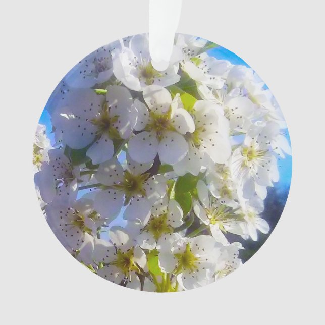 Birnenblüten Ornament (Vorderseite)