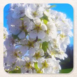 Birnenblüten Rechteckiger Pappuntersetzer
