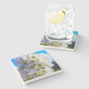 Birnenblüten Steinuntersetzer