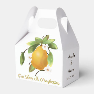 Birnensteife Geschenkschachtel