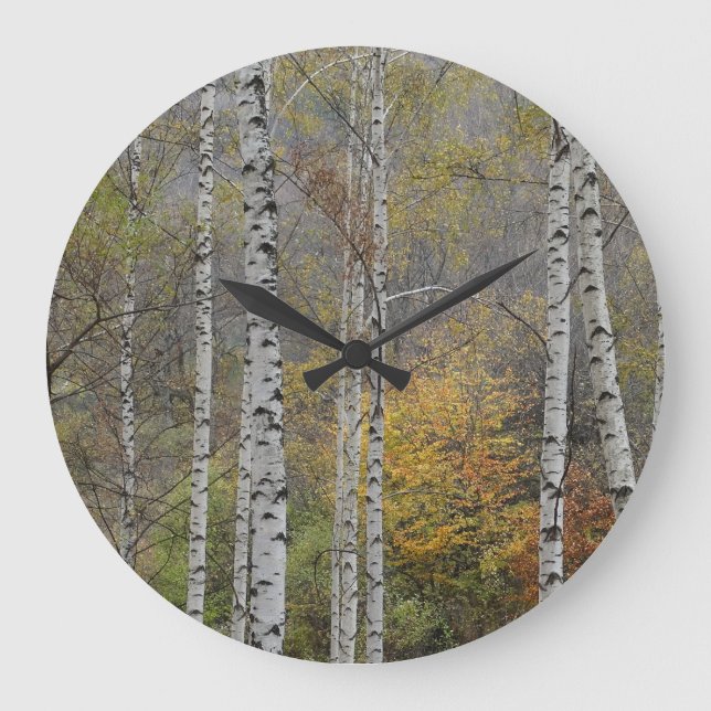 Birnenwald Herbst Foto Rundwall Uhr (Vorderseite)
