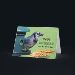 Birth Son Birthday mit Blue Jay bei Feeder Karte<br><div class="desc">Herzlichen Glückwunsch zum Geburtstag für einen Sohn. Auf dieser Geburtstagskarte zum Thema Vogel wird eine Blaue Jay an einem Vogelschleuder mit Weizenköpfen gezeigt. Tolle Karte für den Vogelliebhaber in deinem Leben. Art,  Bild und Vers Copyright © Shoaff Ballanger Studios,  2023.</div>