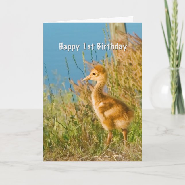 Birthday, 1st, Baby Sandhill Crane Karte (Vorderseite)