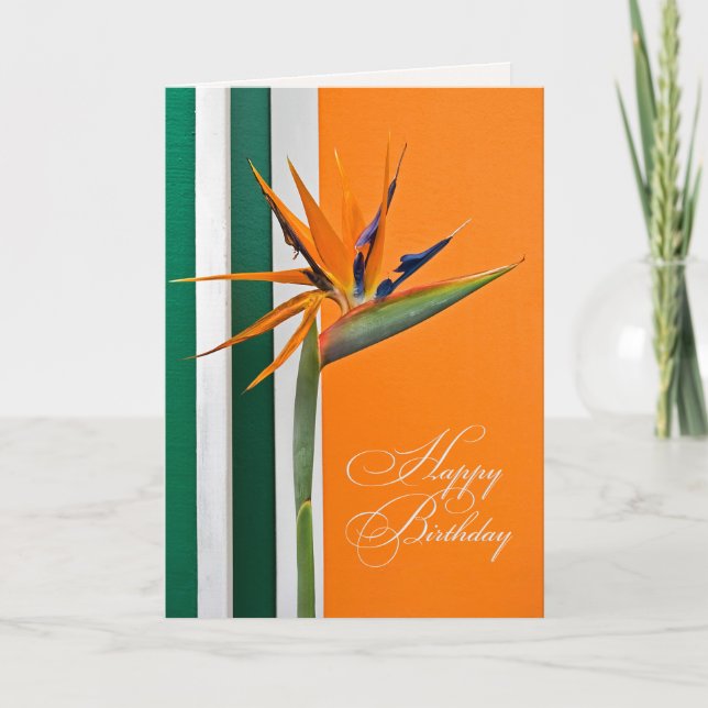 Birthday Bird of Paradise Karte (Vorderseite)
