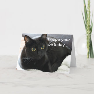 Birthday Black Cat Karte