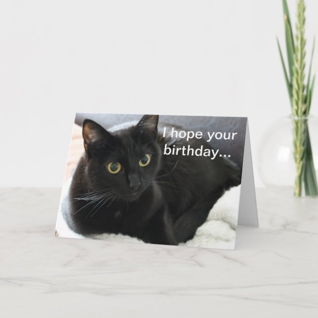 Birthday Black Cat Karte (Vorderseite)