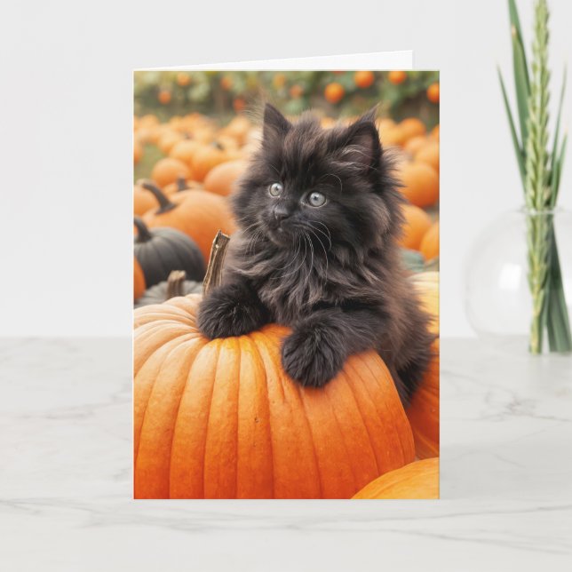 Birthday Black Kitten auf Orange Pumpkin Karte (Vorderseite)