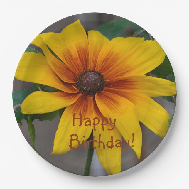 Birthday Black-Mit Augen Susan Pappteller (Vorderseite)