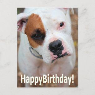 Birthday Boop Card Postkarte