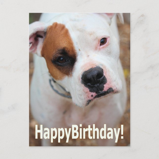Birthday Boop Card Postkarte (Vorderseite)