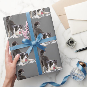 Birthday Border Collie auf Grau Geschenkpapier