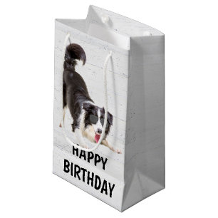 Birthday Border Collie mit Sonnenbrille Kleine Geschenktüte