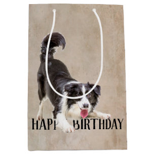 Birthday Border Collie Mittlere Geschenktüte