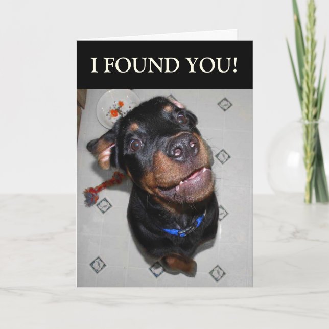 Birthday Boy Funny Rottweiler Card Karte (Vorderseite)