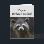 Birthday BROTHER Fuge Age Spaß Sad Raccoon Spaß Karte<br><div class="desc">Geburtstag Blahs für Ihr BROTHER Fun Age Nur weil Sie viele davon gehabt haben. Humorale depressive Raccoon</div>