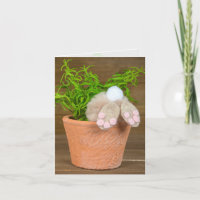 Birthday Bunny in Flower Pot