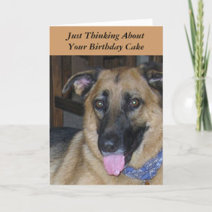 Birthday Cake Pavlov Hunde Humor Karte