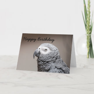 Birthday card Congo African Grey Gray Parrot Karte