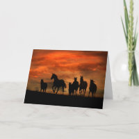 Birthday Card des Wilden Pferdes aus einer Gruppe