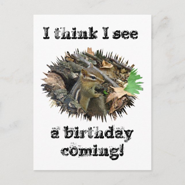 Birthday Card Eastern Chipmunk Postkarte (Vorderseite)