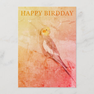 Birthday Card for Bird Lovers Begleitkarte