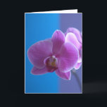 Birthday Card for Daughter -- Orchid Karte<br><div class="desc">This lovely orchid card makes a gorgeous birthday card for a daughter.  Image and verse  Kathy Henis</div>