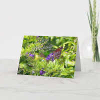 Birthday Card Gulf Fritillary (3741) (a)