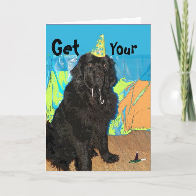 Birthday Card ~ Newfoundland Dog Karte (Vorderseite)