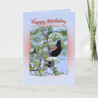 Birthday Card Rot-Flügel