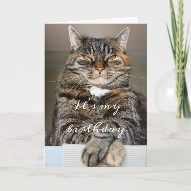 Birthday Cat Funny Tabby Grumpy Green Eyes Squint Karte (Vorderseite)