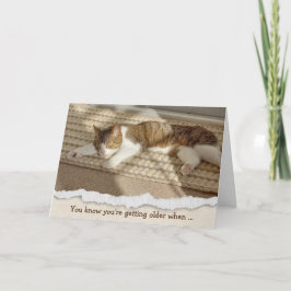Birthday Cat Napping bei Sonnenlicht Feiertagskarte