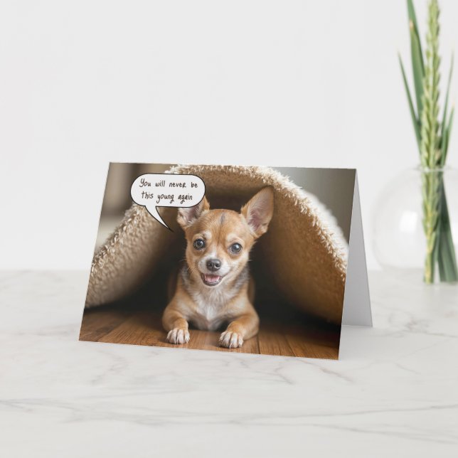 Birthday Chihuahua Dog Under a Rug Karte (Vorderseite)