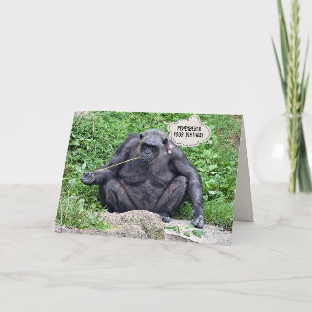 Birthday Chimpanzee auf Felsen Karte (Vorderseite)