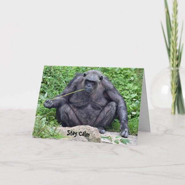 Birthday Chimpanzee Karte (Vorderseite)