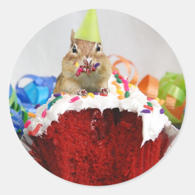 Birthday Chipmunk Runder Aufkleber (Vorderseite)