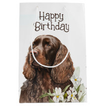 Birthday Chocolate Cocker Spanel