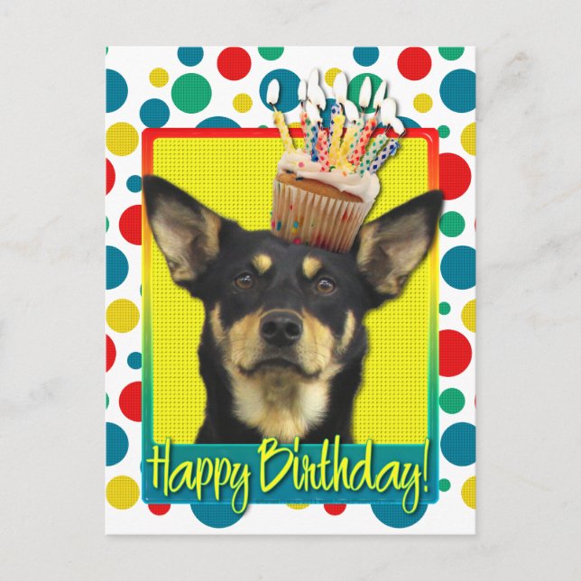 Birthday Cupcake - Australian Kelpie - Jude Postkarte (Vorderseite)