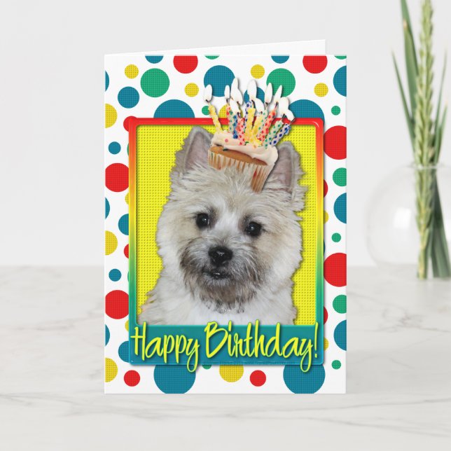 Birthday Cupcake - Cairn Terrier - Teddy Bear Karte (Vorderseite)