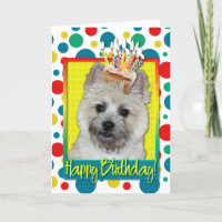 Birthday Cupcake - Cairn Terrier - Teddy Bear