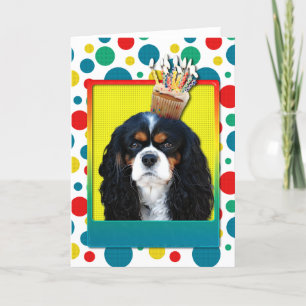 Birthday Cupcake - Cavalier - Tri-Color Karte