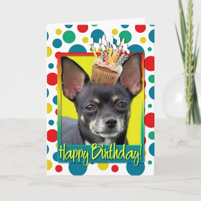 Birthday Cupcake - Chihuahua - Isabella Karte (Vorderseite)