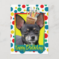 Birthday Cupcake - Chihuahua - Isabella