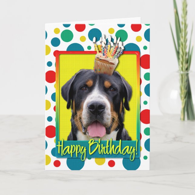 Birthday Cupcake - Greater Swiss Mountain Hund Karte (Vorderseite)