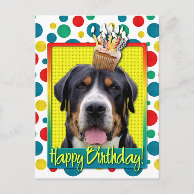 Birthday Cupcake - Greater Swiss Mountain Hund Postkarte (Vorderseite)
