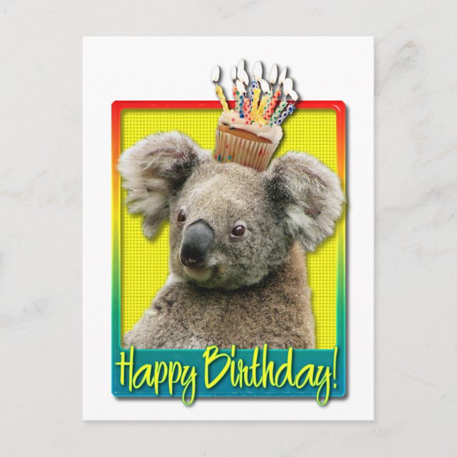 Birthday Cupcake - Koala Postkarte (Vorderseite)