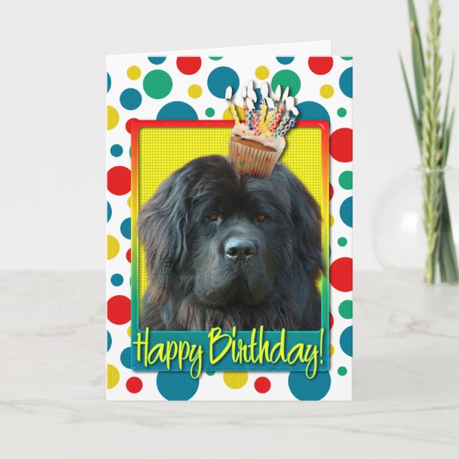 Birthday Cupcake - Neufundland Karte (Vorderseite)