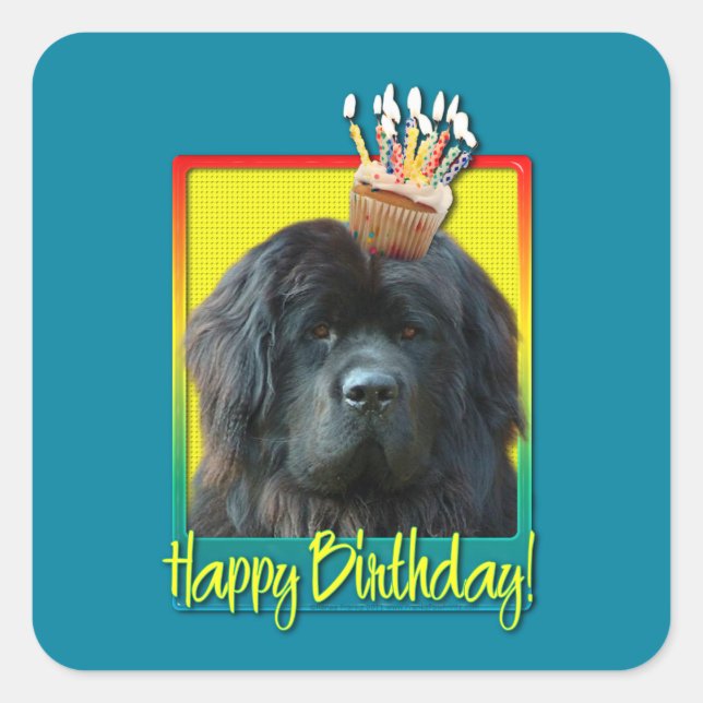 Birthday Cupcake - Neufundland Quadratischer Aufkleber (Vorderseite)